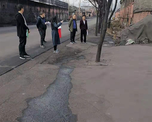 縣委、鎮(zhèn)府領導驗收工程